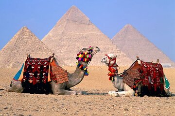 Cairo Over day Bus Grate Pyramids & Egyptian Museum - Sharm El Sheikh - Image 3