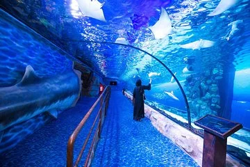 Grand Aquarium Hurghada: Spectacular Marine Adventure with Hotel Transfers