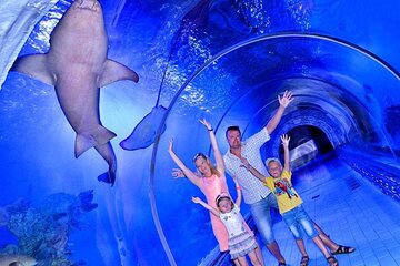 Grand Aquarium Hurghada Amazing Tour With Transfer - Hughada - Image 3