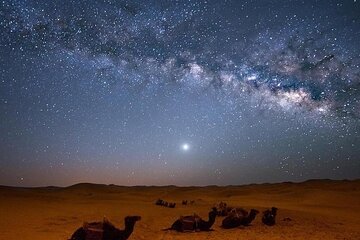 Star Watching and Jeep Safari With Bedouin Dinner & Camel Ride - Hurghada - Image 3