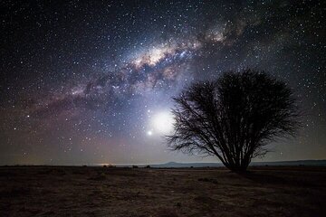 Star Watching and Jeep Safari With Bedouin Dinner & Camel Ride - Hurghada - Image 4