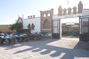 ATV, Drive Buggy Car, Jeep Super Safari , Bedouin Dinner-Hurghada - Image 3