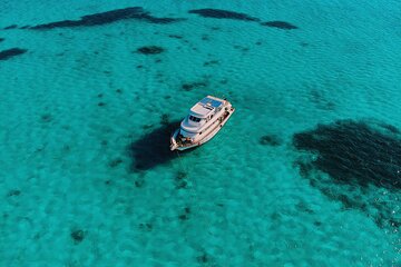 Dolphin House Royal VIP Special Day Snorkeling Sea Trip With Lunch - Hurghada - Image 3