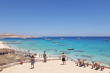 عرض كل الصور