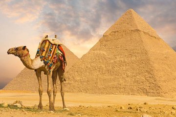 Cairo Over day Pyramids Sphinx and Museum With Lunch - Hurghada - Image 2