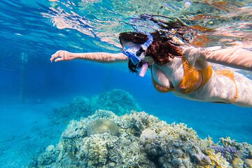 Speedboat Adventure With Snorkeling Stop And Fruits - Hurghada - Image 3