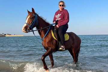 Horseback Riding Tour Desert & Beach at Nabq bay - Sharm ElSheikh - Image 2