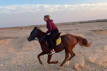 Horseback Riding Tour Desert & Beach at Nabq bay - Sharm ElSheikh - Image 3