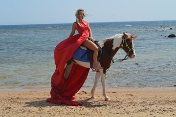 Horseback Riding Tour Desert & Beach at Nabq bay - Sharm ElSheikh - Image 4
