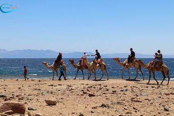 Blue Hole in Dahab By Bus with Lunch and Camel Ride - Sharm El-Sheikh - Image 2