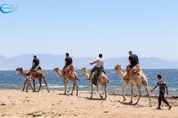 Blue Hole in Dahab By Bus with Lunch and Camel Ride - Sharm El-Sheikh - Image 4