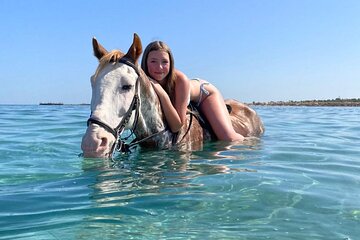 3 Hours Swimming By Horse in Red Sea Riding on the Beach and Dessert - Hurghada - Image 2