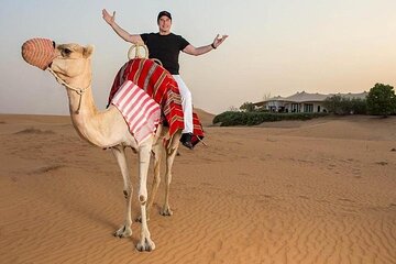 One Hour Horse or Camel Riding with Transfer- Sharm El-Sheikh - Image 3