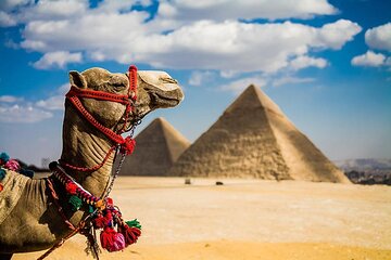8 Days,Cairo,Alexandria,Aswan,Luxor,Cruise, Abu Simbel,From Cairo By Plane - Image 1