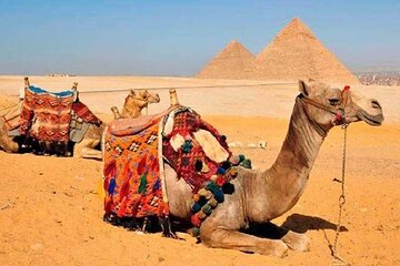 8 Days,Cairo,Alexandria,Aswan,Luxor,Cruise, Abu Simbel,From Cairo By Plane - Image 2