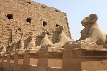 See Everything In 2 Days From Cairo To Luxor -Aswan -Abu Simbel By Plane - Image 3