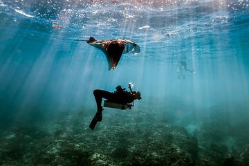 Intro Scuba Diving for beginners With (Lunch,Transfer) – Hurghada - Image 3