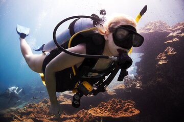 Intro Scuba Diving for beginners With (Lunch,Transfer) – Hurghada - Image 4