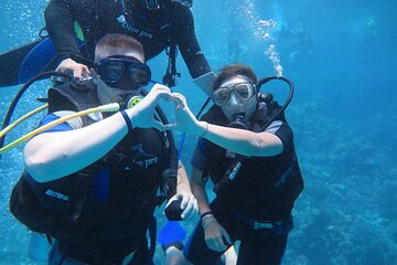 Exciting Daily Diving boat Trip with Lunch – Sharm El Sheikh - Image 3