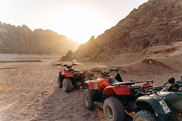 Family Adventure, ATV Quads, Buggies & Bedouin Night - Hurghada - Image 4