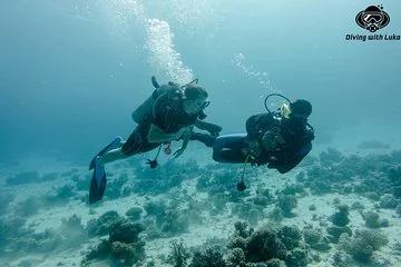 Full day diving with private guide, lunch drinks transportation - Image 2