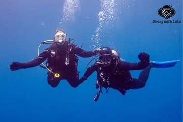 Full day diving with private guide, lunch drinks transportation - Image 4
