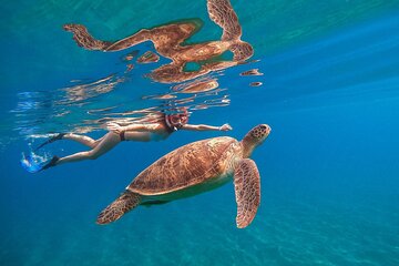 Marsa Mubarak Snorkeling Sea Trip & Transfer & Lunch – Marsa Alam - Image 1