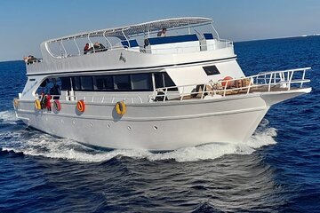 Marsa Mubarak Snorkeling Sea Trip & Transfer & Lunch – Marsa Alam - Image 4