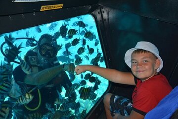 Experience Semi Submarine Voyage with Transfer - Sharm El Sheikh - Image 4