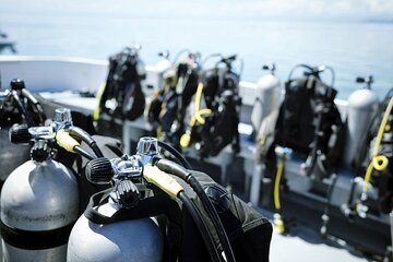 PADI Advanced Diving Course In Hurghada Open Water - Hurghada - Image 4