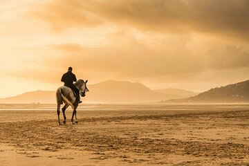 Experience Beauty Of Desert by Horse Ride & Transfer - Hurghada - Image 2