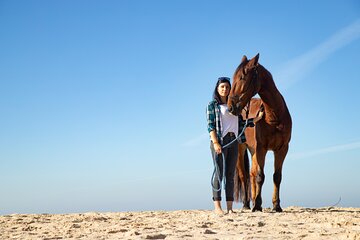 Experience Beauty Of Desert by Horse Ride & Transfer - Hurghada - Image 3