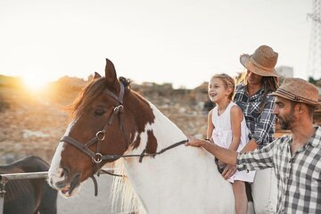 Experience Beauty Of Desert by Horse Ride & Transfer - Hurghada - Image 4