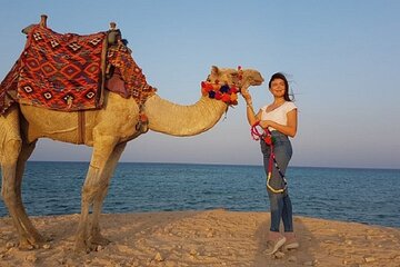 Experience Camel Riding in the Stunning Desert - Hurghada - Image 1