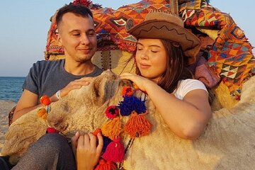 Experience Camel Riding in the Stunning Desert - Hurghada - Image 2