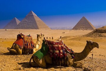 2-Day Cairo & Alexandria Tour with Nile Cruise - Sharm Elsheikh - Image 4