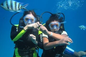 Coral Garden, Snorkeling & Diving Adventure & Lunch - Marsa Alam - Image 2