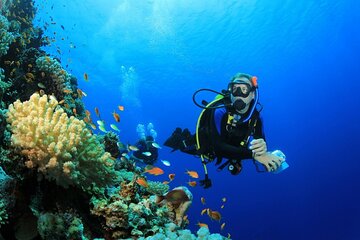 Ras Mohamed & White Island Dive, snorkel, Lunch – Sharm El Sheikh - Image 2