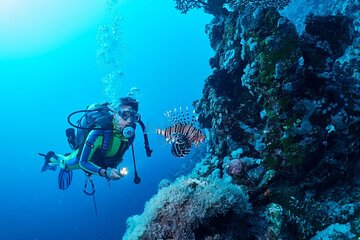 Ras Mohamed & White Island Dive, snorkel, Lunch – Sharm El Sheikh - Image 4