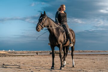 Horse or Camel Riding in desert, transfer - Sharm El Sheikh - Image 2
