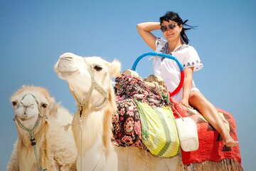 Horse or Camel Riding in desert, transfer - Sharm El Sheikh - Image 3