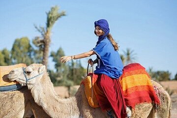 Horse or Camel Riding in desert, transfer - Sharm El Sheikh - Image 4