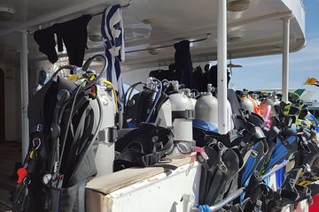 Intro Scuba Diving - Image 1
