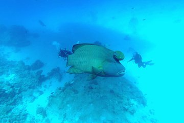 Intro Scuba Diving - Image 2