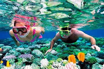 Giftun Island, all day trip with snorkeling - Image 2