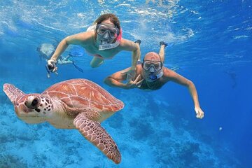 Giftun Island, all day trip with snorkeling - Image 4