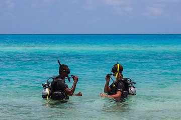Try your Intro diving in Hurghada - Image 1
