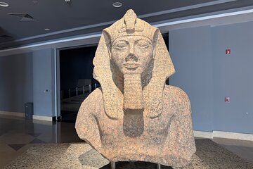 عرض كل الصور
