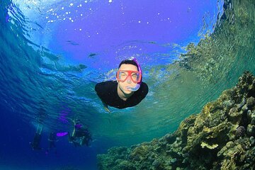 Tiran Island Snorkeling Experience by Yacht Sharm El Sheikh - Image 4