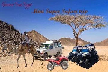 3 hours Mini Super Safari (Family Safari) - Image 2